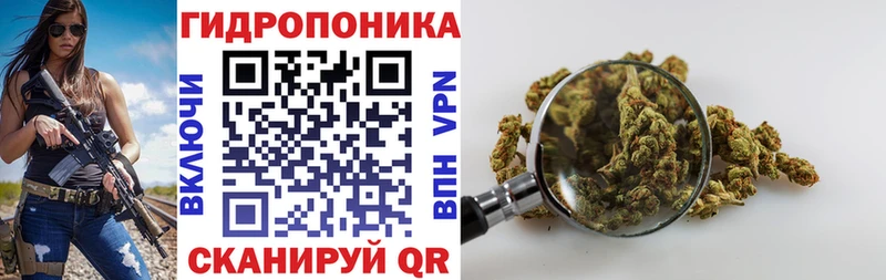 Наркотические вещества Дорогобуж КОКАИН  MDMA  Каннабис 