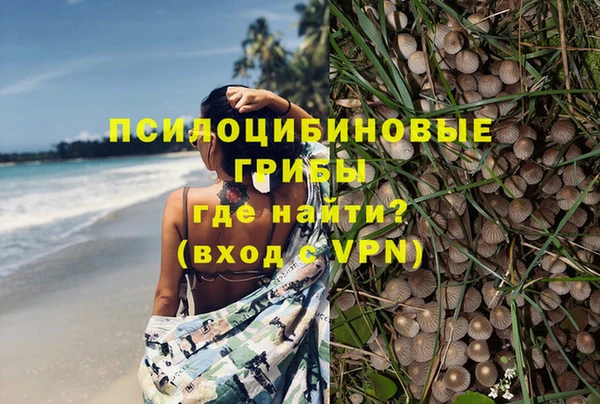 дистиллят марихуана Магас