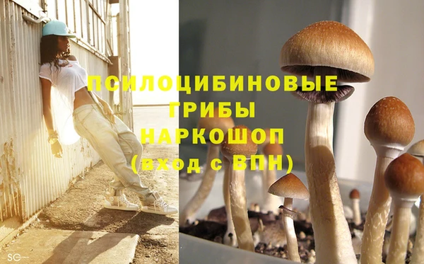 дистиллят марихуана Магас
